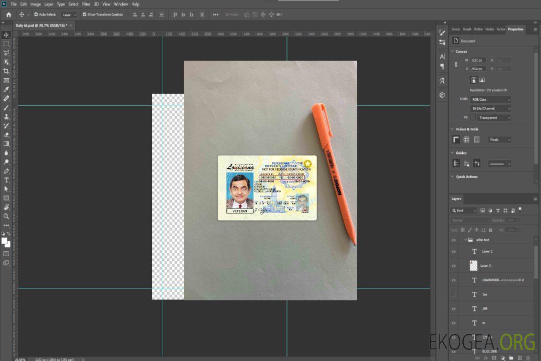USA Louisiane DL photolook AVANT template USA Louisiane DL photolook AVANT template